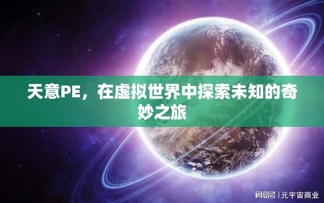 天意PE，虛擬世界的奇妙探險(xiǎn)之旅