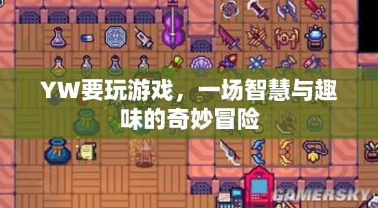 智慧與趣味的奇妙冒險，YW的精彩游戲之旅