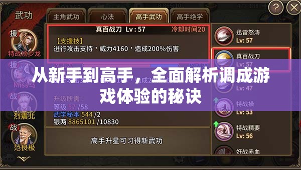 從新手到高手，全面解析提升游戲體驗(yàn)的秘訣