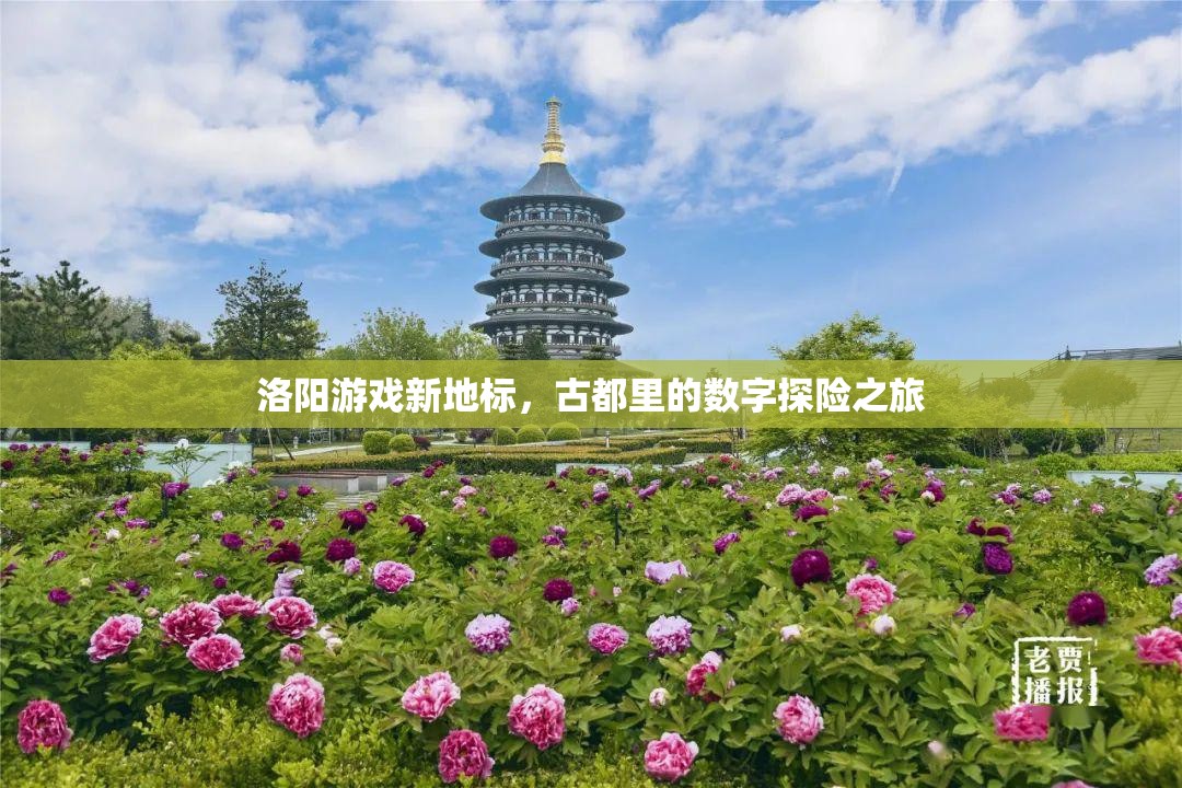 洛陽(yáng)新地標(biāo)，古都中的數(shù)字探險(xiǎn)之旅