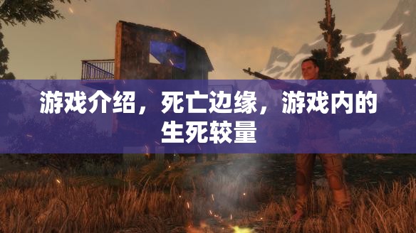 死亡邊緣，游戲內(nèi)的生死較量，挑戰(zhàn)極限的生存挑戰(zhàn)