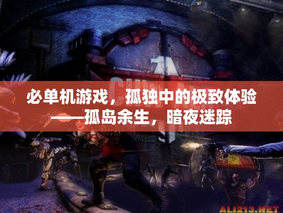孤島余生，暗夜迷蹤——探索孤獨(dú)中的極致游戲體驗(yàn)