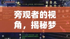 夢幻島，旁觀者眼中的魅力與社交奇遇