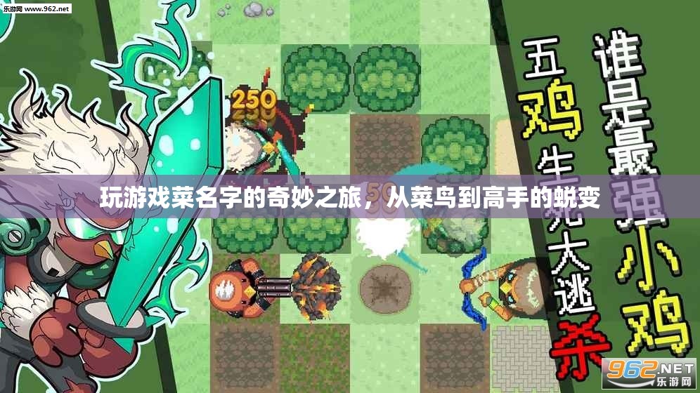 菜鳥逆襲，游戲名字的奇妙成長之旅