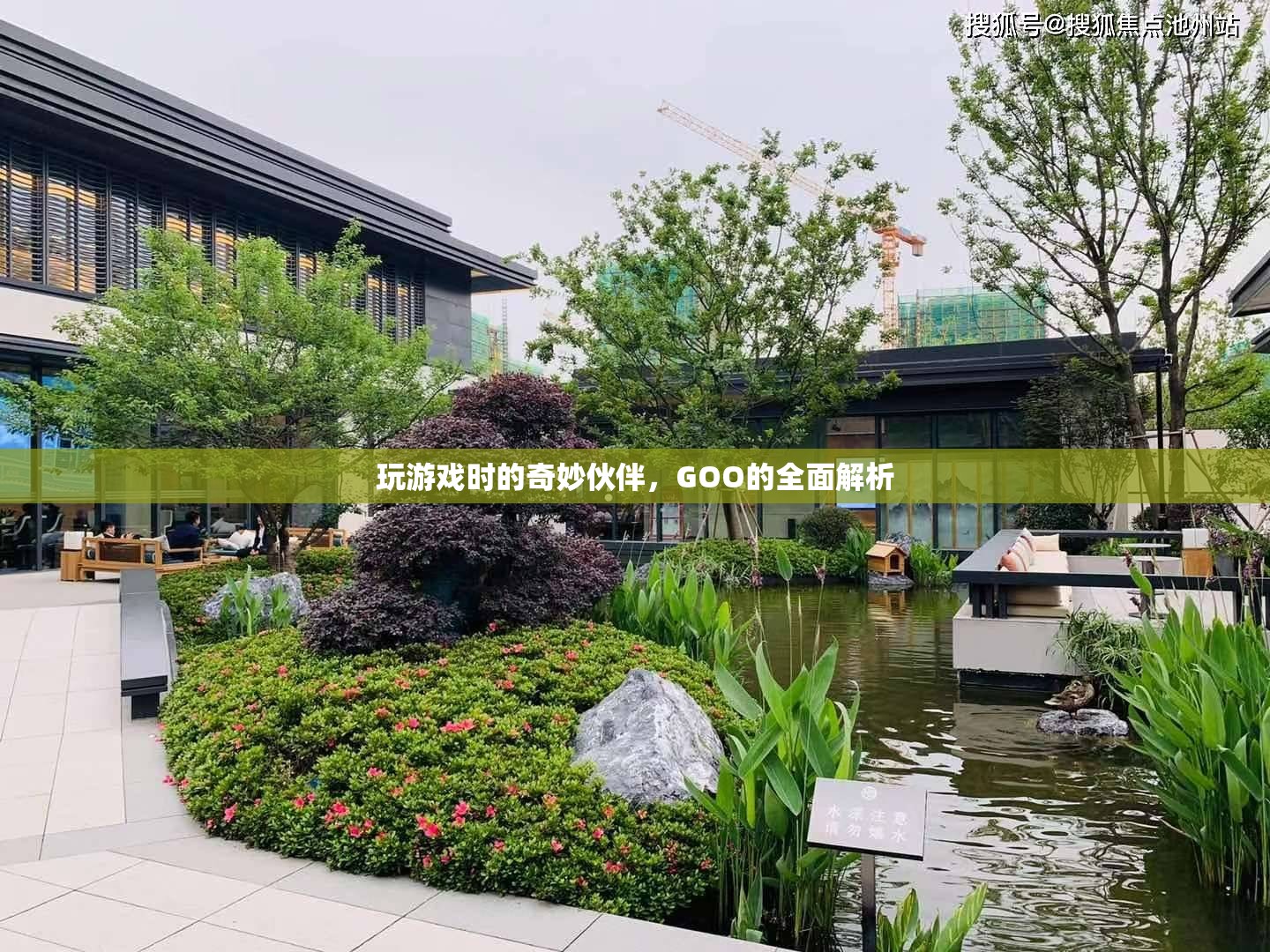 游戲中的奇妙伙伴，GOO的全面解析