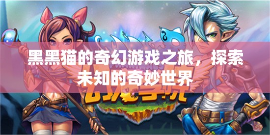 黑黑貓的奇幻冒險(xiǎn)，探索未知的奇妙世界之旅