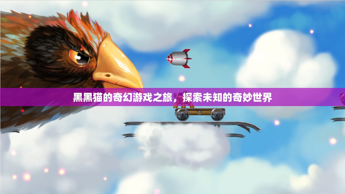 黑黑貓的奇幻冒險(xiǎn)，探索未知的奇妙世界之旅
