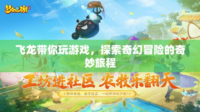 飛龍引領(lǐng)的奇幻冒險(xiǎn)，探索未知的奇妙旅程