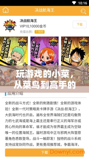從菜鳥(niǎo)到高手，玩游戲的成長(zhǎng)之旅