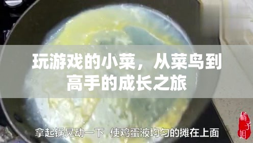 從菜鳥(niǎo)到高手，玩游戲的成長(zhǎng)之旅