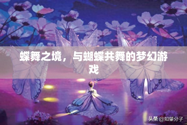 蝶舞之境，共舞夢幻的蝴蝶奇緣  第3張