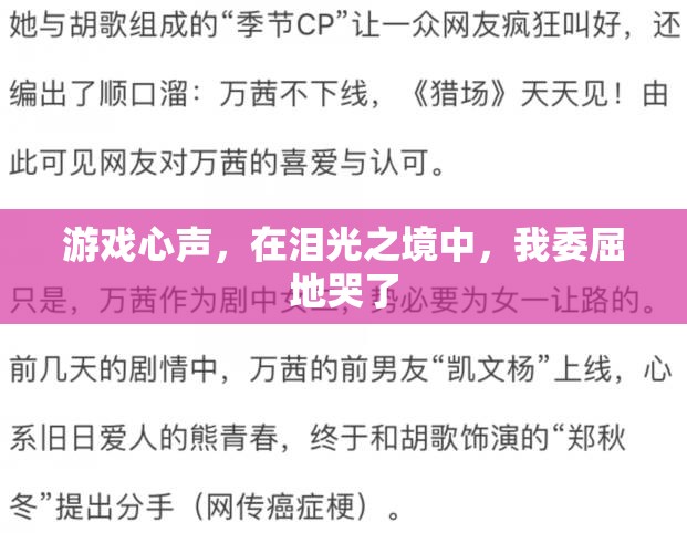 淚光之境中的游戲心聲，委屈的淚水與情感的共鳴
