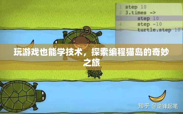 編程貓島，探索游戲中的編程技術(shù)之旅