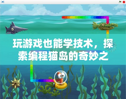 編程貓島，探索游戲中的編程技術(shù)之旅