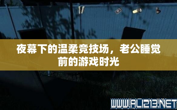 夜幕下的溫柔競技場，老公的睡前游戲時光
