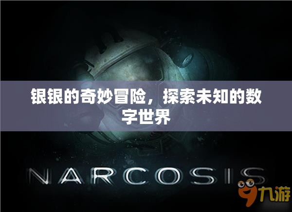 銀銀的數(shù)字奇境，探索未知的數(shù)字世界冒險(xiǎn)之旅