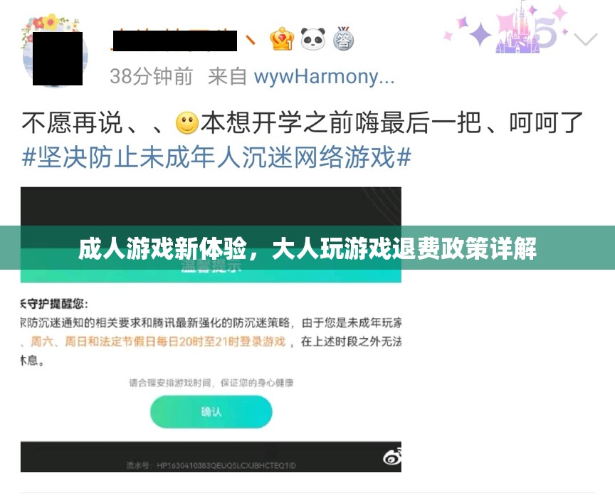 成人游戲新體驗(yàn)，大人玩游戲退費(fèi)政策全面解析