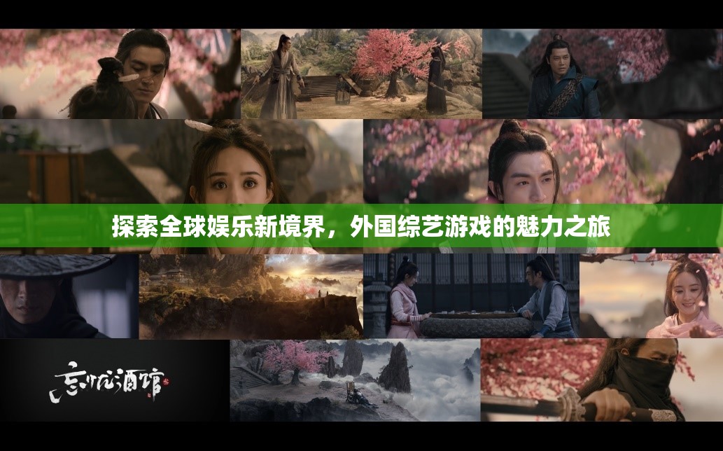 全球娛樂(lè)新探索，外國(guó)綜藝游戲的魅力之旅