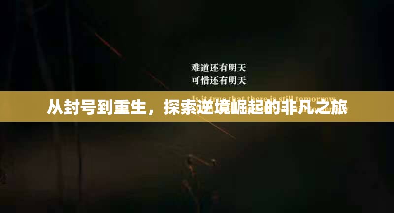 逆境重生，封號(hào)之旅的非凡崛起