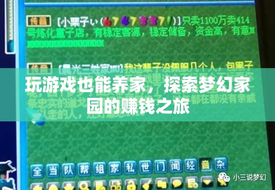 游戲中的財(cái)富之道，探索夢(mèng)幻家園的賺錢之旅