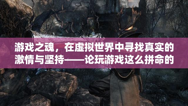 游戲之魂，在虛擬世界中追尋真實(shí)的激情與堅(jiān)持