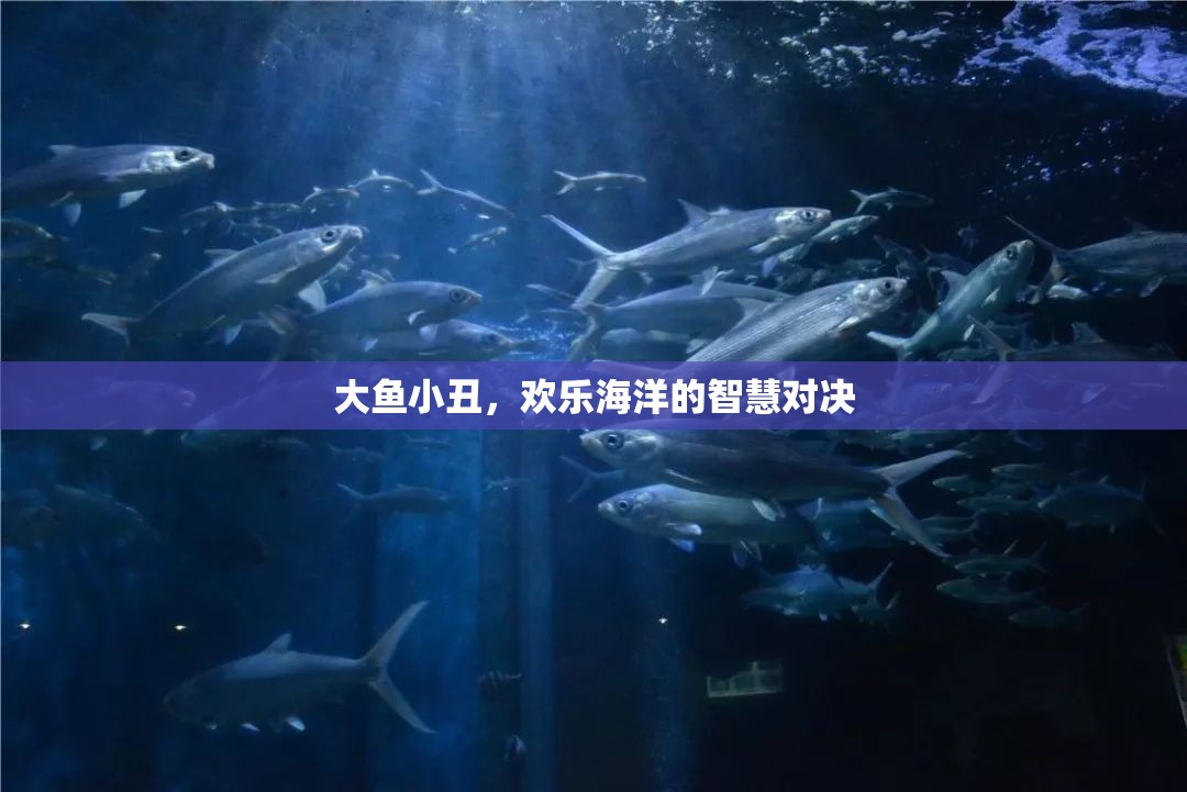 大魚(yú)小丑，智慧與歡樂(lè)的海洋對(duì)決