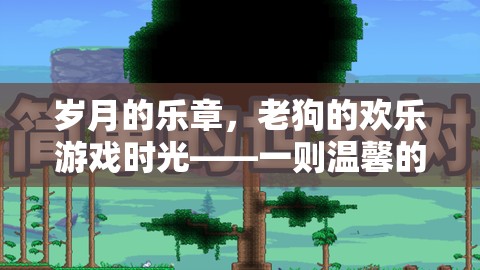 老狗的數(shù)字世界歡樂探險，歲月的樂章