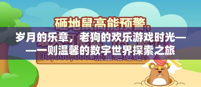 老狗的數(shù)字世界歡樂探險，歲月的樂章