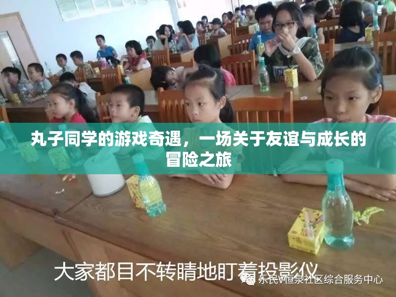 丸子同學(xué)的游戲奇遇，友誼與成長的冒險之旅
