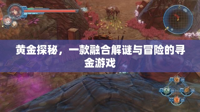 黃金探秘，解謎與冒險(xiǎn)的尋金之旅