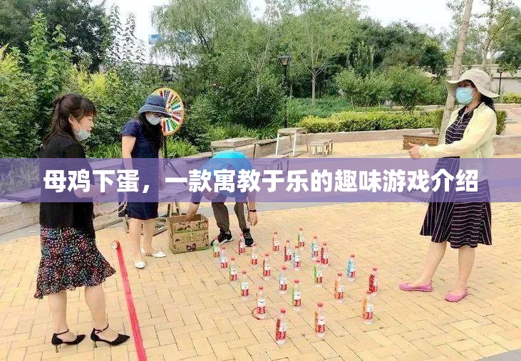 母雞下蛋，寓教于樂的趣味游戲體驗