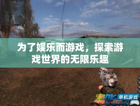 游戲世界的無(wú)限樂(lè)趣，探索娛樂(lè)的邊界