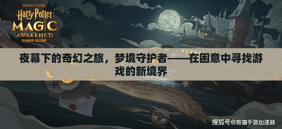 夢(mèng)境守護(hù)者，夜幕下的奇幻之旅，解鎖游戲新境界