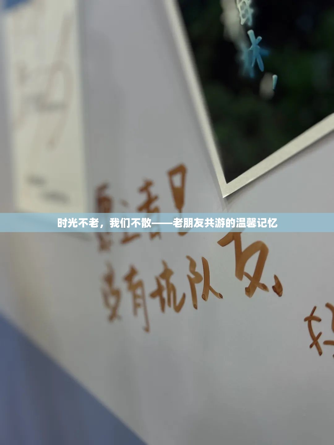 時(shí)光荏苒，老友相伴——共游中的溫馨記憶