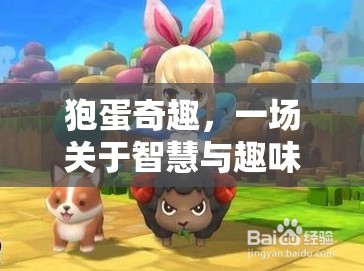 狍蛋奇趣，智慧與趣味的冒險之旅