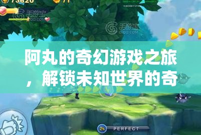 阿丸的奇幻游戲之旅，解鎖未知世界的奇妙冒險(xiǎn)