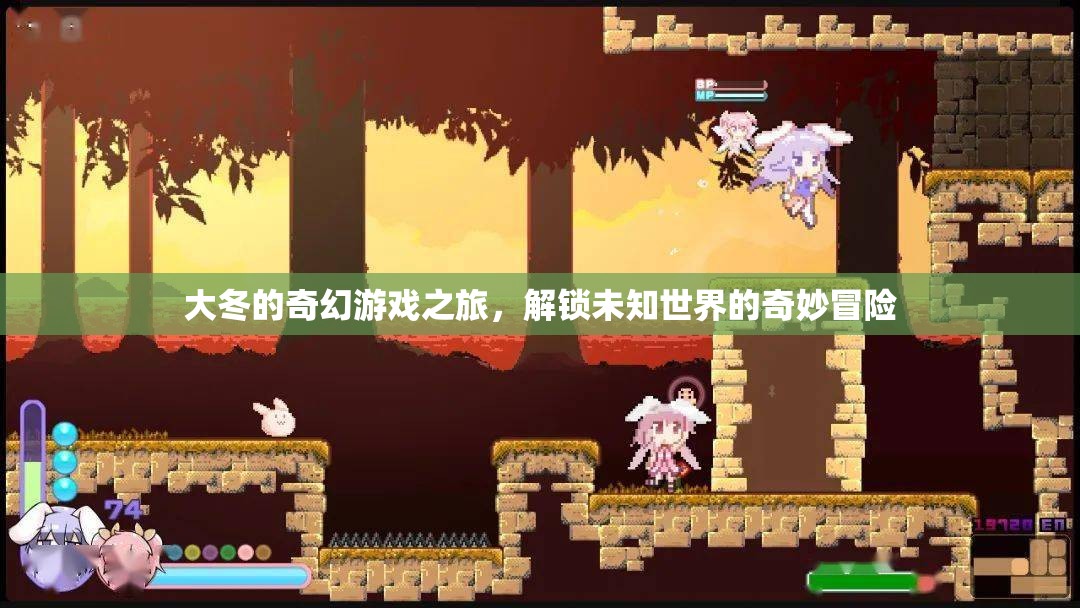 大冬的奇幻游戲之旅，解鎖未知世界的奇妙冒險(xiǎn)