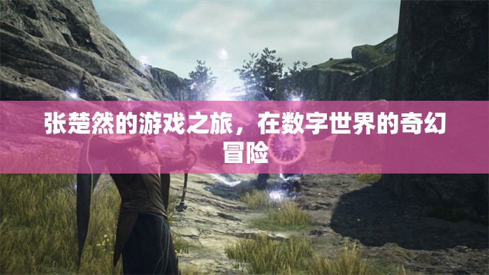 張楚然的數(shù)字奇幻冒險(xiǎn)，游戲之旅