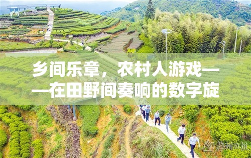 田野間的數(shù)字樂章，農(nóng)村人游戲與現(xiàn)代科技的和諧共舞