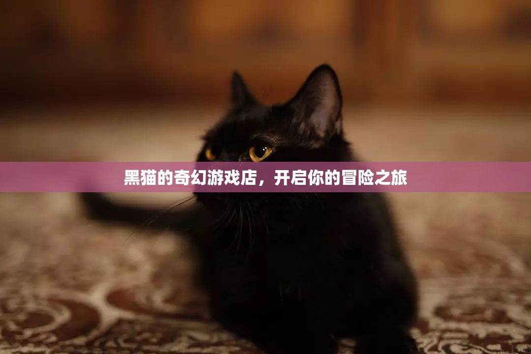 黑貓的奇幻游戲店，解鎖你的冒險之旅