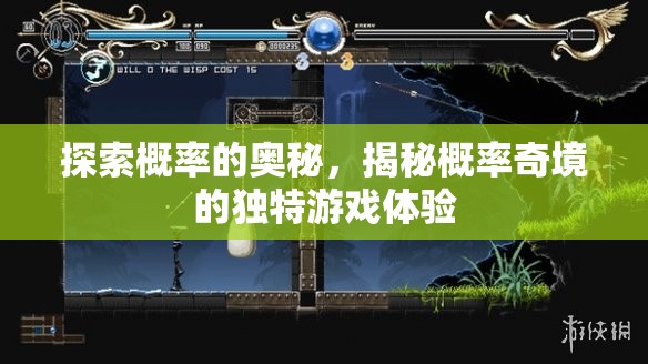 探索概率奇境，揭秘獨特游戲體驗的奧秘