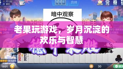 歲月沉淀的歡樂與智慧，老果的游戲之旅