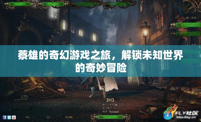 蔡雄的奇幻游戲，解鎖未知世界的奇妙冒險