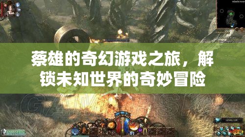 蔡雄的奇幻游戲，解鎖未知世界的奇妙冒險