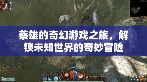 蔡雄的奇幻游戲，解鎖未知世界的奇妙冒險