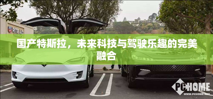 國(guó)產(chǎn)特斯拉，未來(lái)科技與駕駛樂趣的完美融合