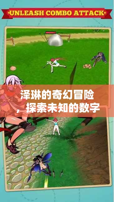 澤琳的數(shù)字世界奇幻之旅，探索未知的數(shù)字奇境