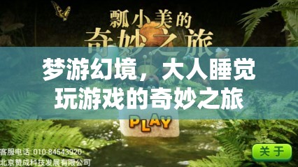 夢游幻境，大人睡覺時的奇妙游戲之旅