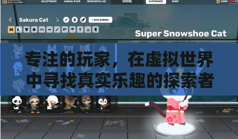 虛擬世界的真實(shí)探索者，專(zhuān)注玩家的樂(lè)趣之旅