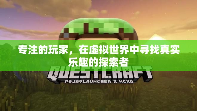 虛擬世界的真實(shí)探索者，專(zhuān)注玩家的樂(lè)趣之旅